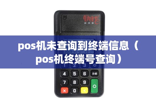 pos机未查询到终端信息（pos机终端号查询）