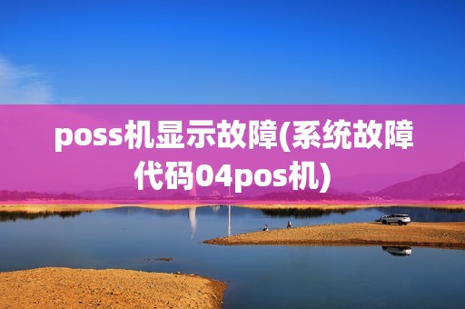 poss机显示故障(系统故障代码04pos机)