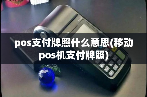 pos支付牌照什么意思(移动pos机支付牌照)