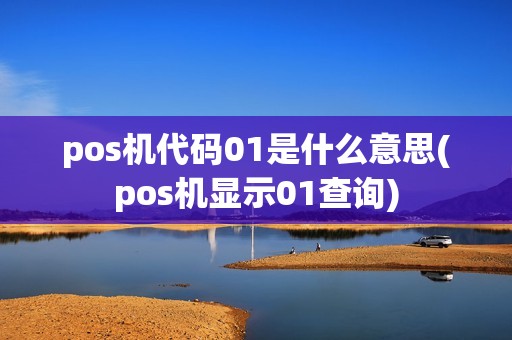 pos机代码01是什么意思(pos机显示01查询)
