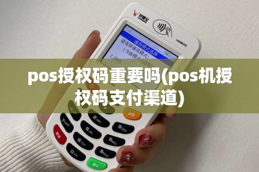 pos授权码重要吗(pos机授权码支付渠道)