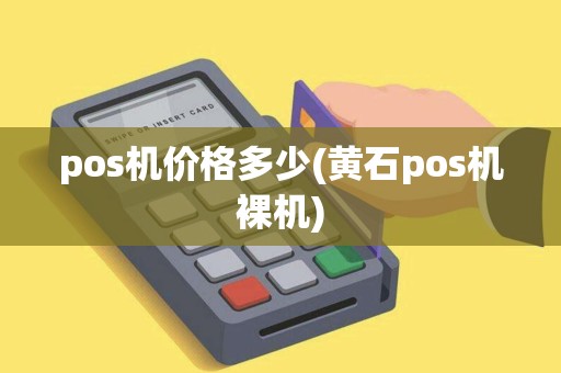 pos机价格多少(黄石pos机裸机)