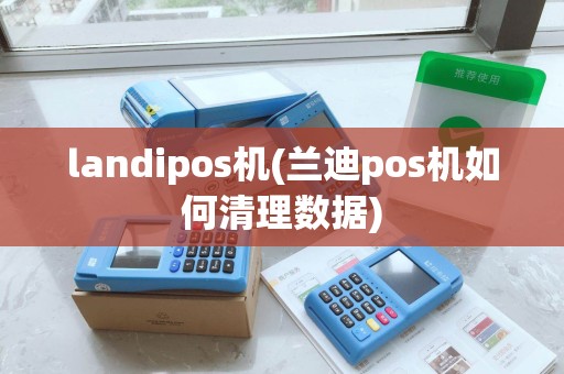 landipos机(兰迪pos机如何清理数据)