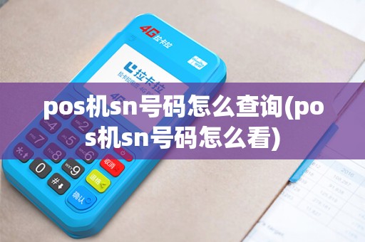 pos机sn号码怎么查询(pos机sn号码怎么看)