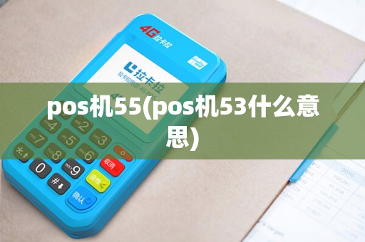 pos机55(pos机53什么意思)