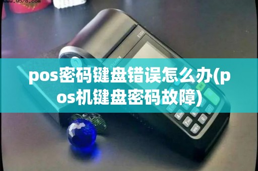 pos密码键盘错误怎么办(pos机键盘密码故障)