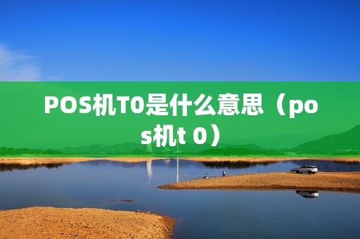 POS机T0是什么意思（pos机t 0）