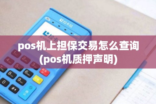 pos机上担保交易怎么查询(pos机质押声明)