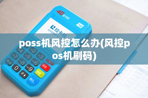poss机风控怎么办(风控pos机刷码)