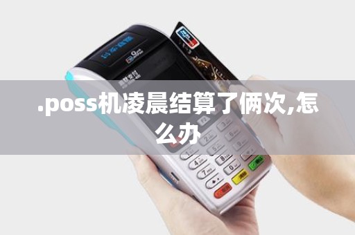 .poss机凌晨结算了俩次,怎么办
