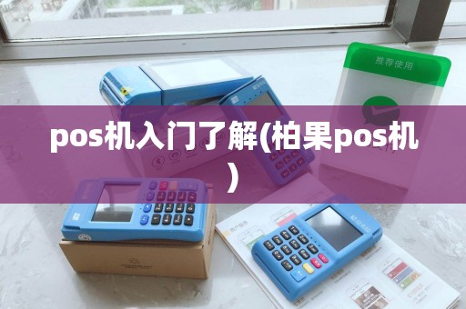 pos机入门了解(柏果pos机)