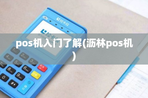 pos机入门了解(沥林pos机)