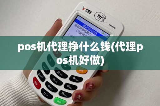 pos机代理挣什么钱(代理pos机好做)