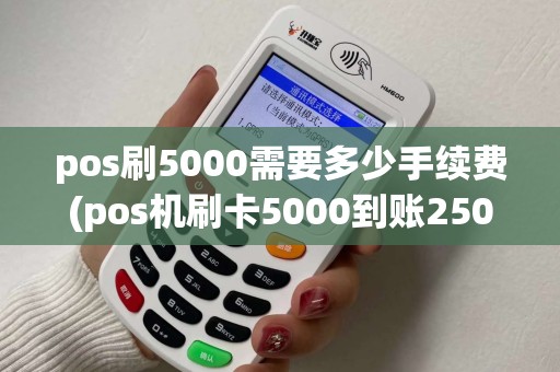pos刷5000需要多少手续费(pos机刷卡5000到账2500)