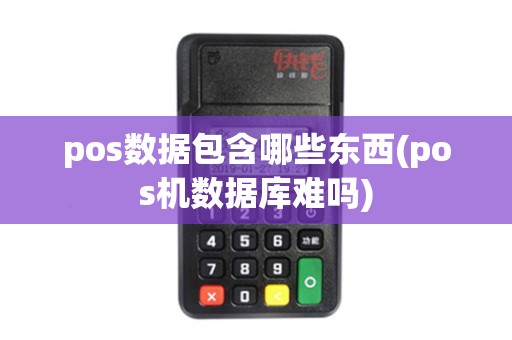 pos数据包含哪些东西(pos机数据库难吗)