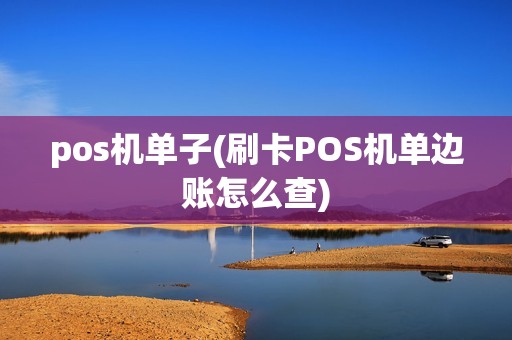 pos机单子(刷卡POS机单边账怎么查)