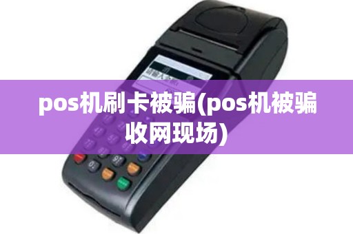 pos机刷卡被骗(pos机被骗收网现场)