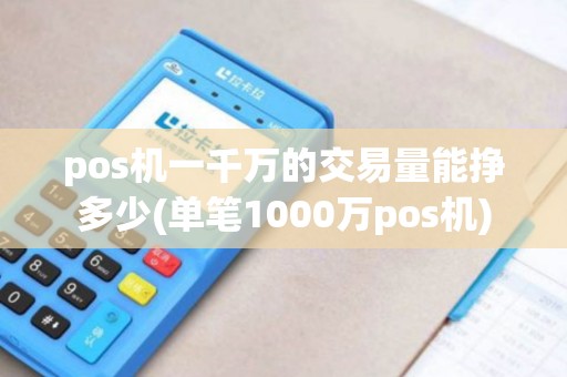 pos机一千万的交易量能挣多少(单笔1000万pos机)