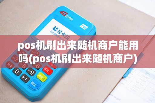pos机刷出来随机商户能用吗(pos机刷出来随机商户)