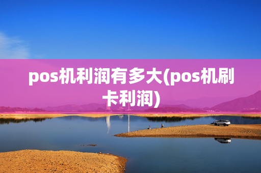pos机利润有多大(pos机刷卡利润)