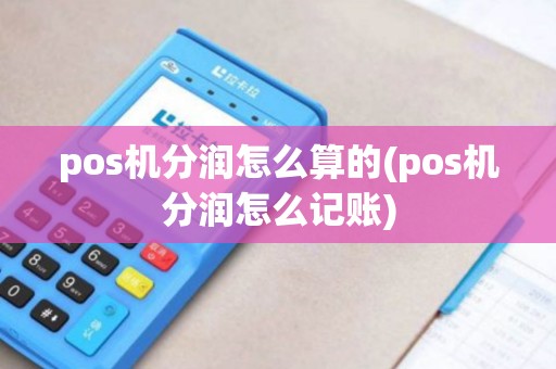 pos机分润怎么算的(pos机分润怎么记账)