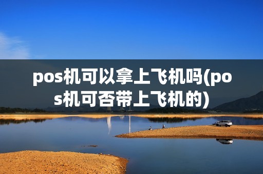 pos机可以拿上飞机吗(pos机可否带上飞机的)
