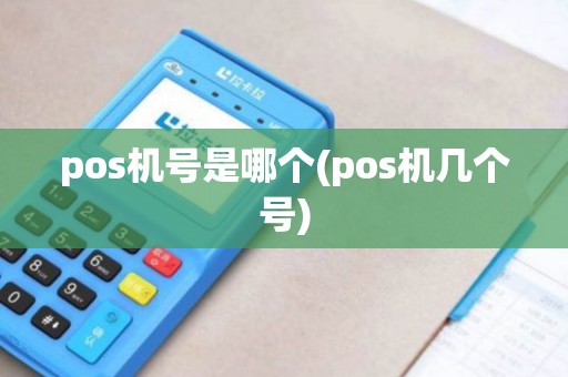 pos机号是哪个(pos机几个号)