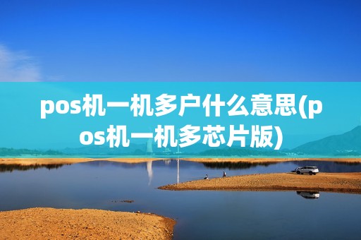 pos机一机多户什么意思(pos机一机多芯片版)