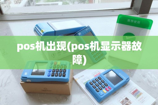pos机出现(pos机显示器故障)