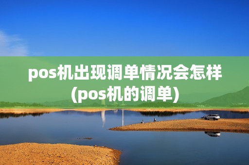 pos机出现调单情况会怎样(pos机的调单)