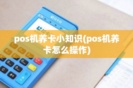 pos机养卡小知识(pos机养卡怎么操作)