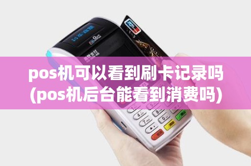 pos机可以看到刷卡记录吗(pos机后台能看到消费吗)