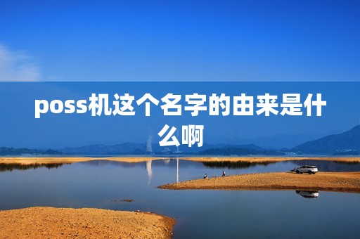 poss机这个名字的由来是什么啊