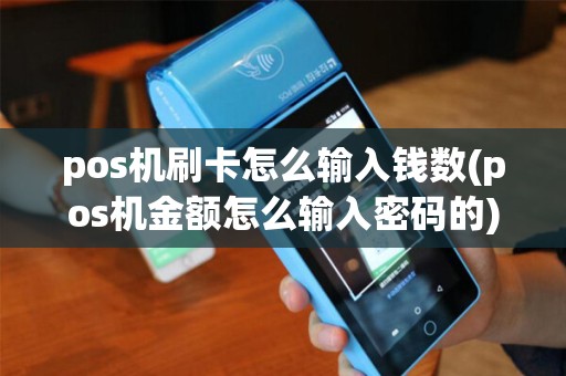pos机刷卡怎么输入钱数(pos机金额怎么输入密码的)
