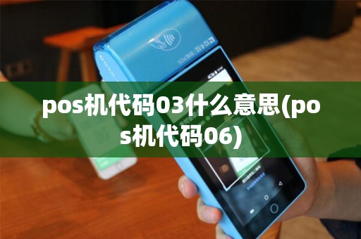 pos机代码03什么意思(pos机代码06)