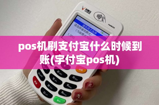 pos机刷支付宝什么时候到账(宇付宝pos机)
