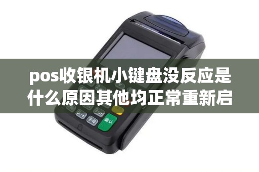 pos收银机小键盘没反应是什么原因其他均正常重新启动还是没反应
