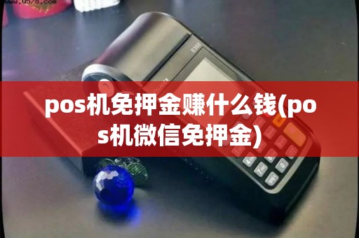 pos机免押金赚什么钱(pos机微信免押金)