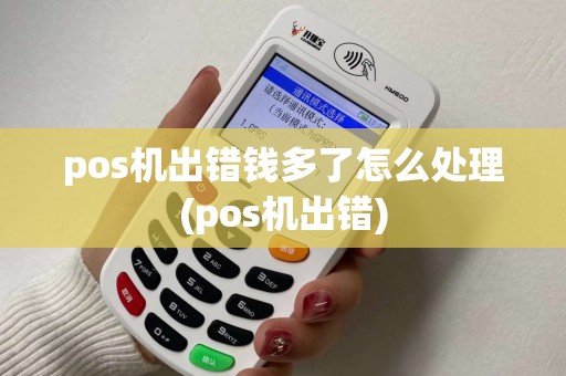 pos机出错钱多了怎么处理(pos机出错)