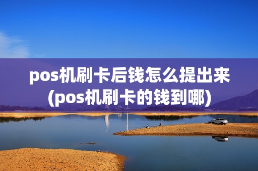 pos机刷卡后钱怎么提出来(pos机刷卡的钱到哪)