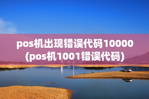 pos机出现错误代码10000(pos机1001错误代码)