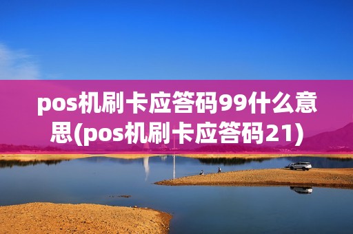 pos机刷卡应答码99什么意思(pos机刷卡应答码21)
