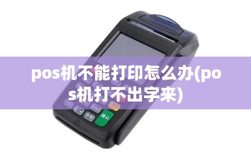 pos机不能打印怎么办(pos机打不出字来)