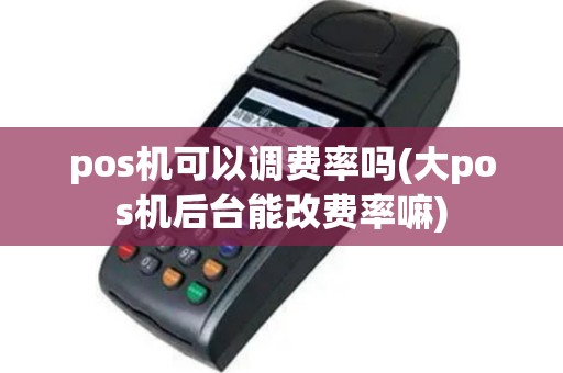 pos机可以调费率吗(大pos机后台能改费率嘛)