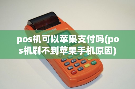 pos机可以苹果支付吗(pos机刷不到苹果手机原因)