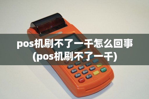 pos机刷不了一千怎么回事(pos机刷不了一千)