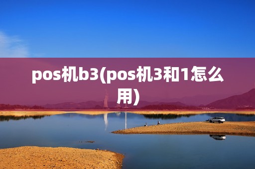 pos机b3(pos机3和1怎么用)