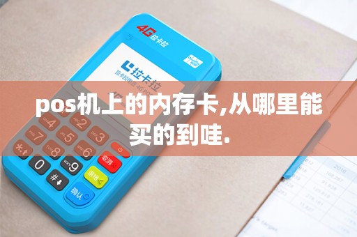 pos机上的内存卡,从哪里能买的到哇.
