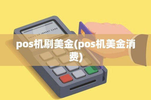 pos机刷美金(pos机美金消费)