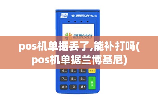 pos机单据丢了,能补打吗(pos机单据兰博基尼)